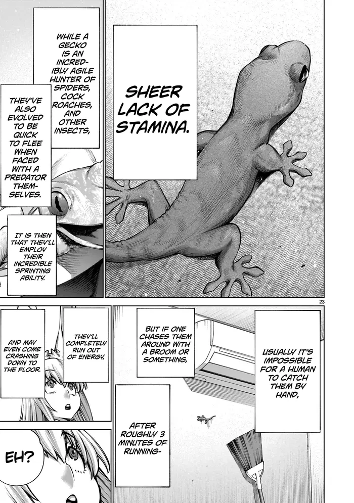 Killing Bites Chapter 125 image 22_optimized